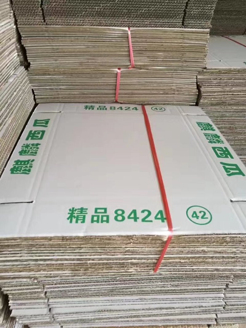精品8424