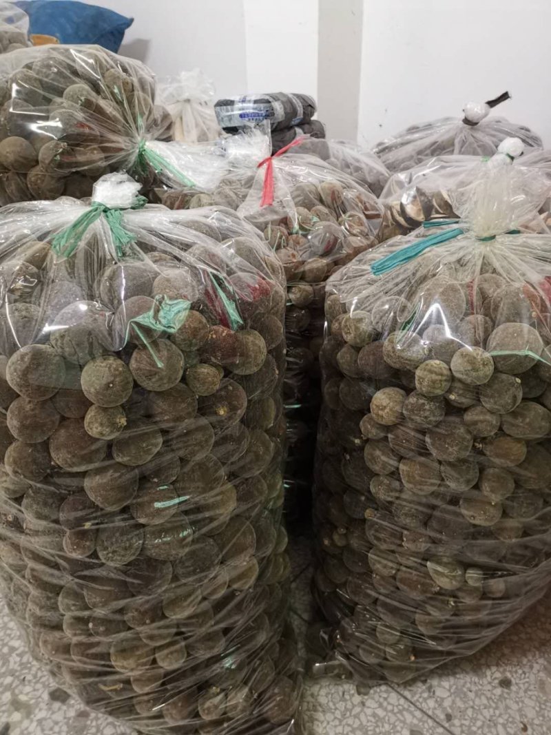 化橘红果批发正毛化橘红干果桔红产地直发