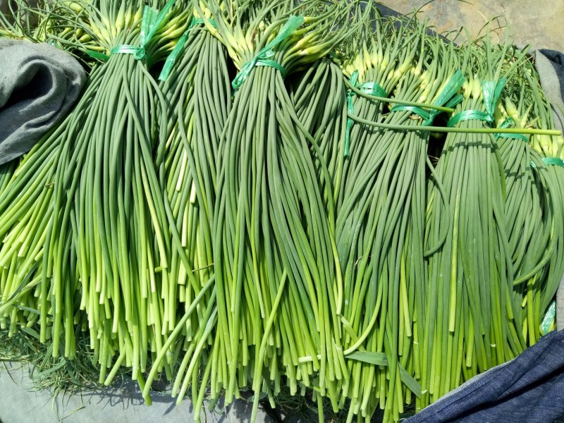 蒜薹。