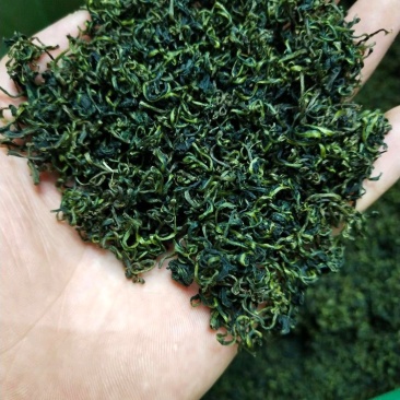 蒲公英茶