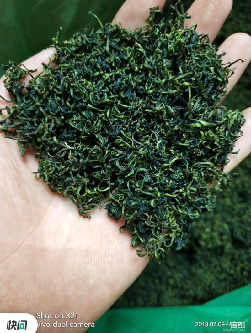 蒲公英茶