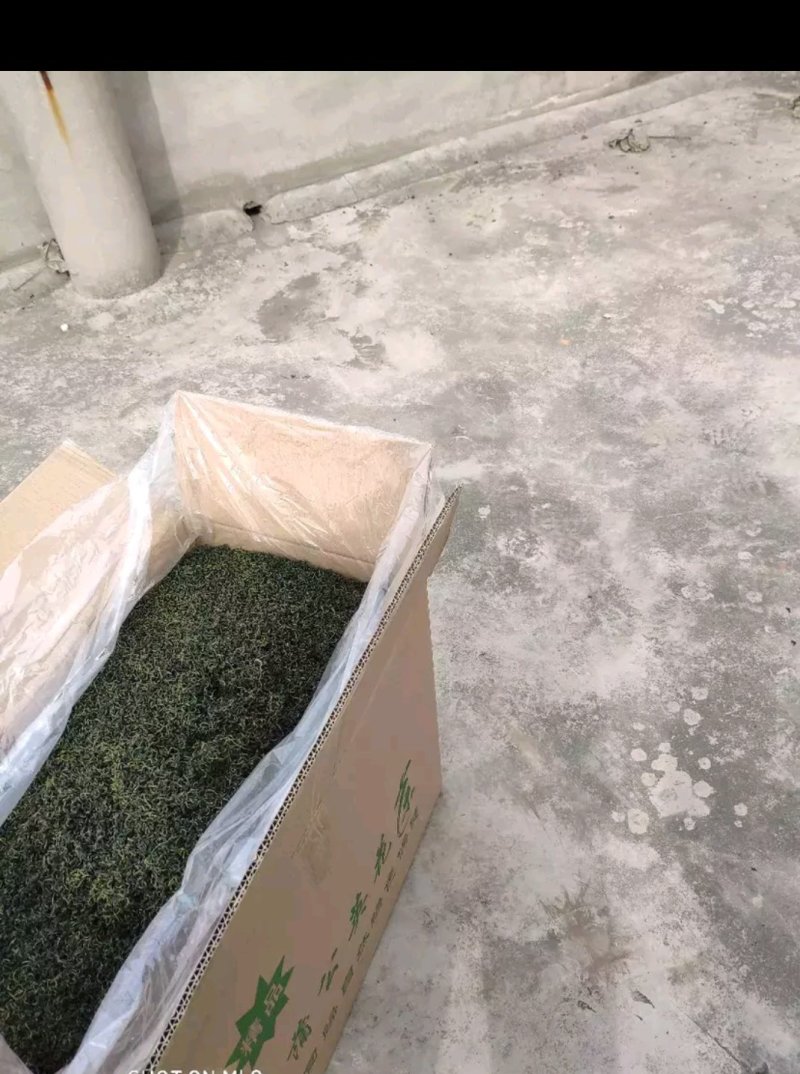 蒲公英茶