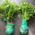 野芹菜水芹菜新鲜野生水芹菜种子苗芹菜新鲜野生水芹菜苗特产