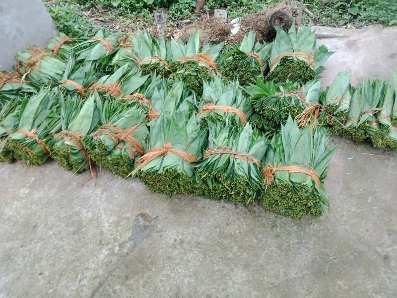 粽叶子，欢迎订货量大从优