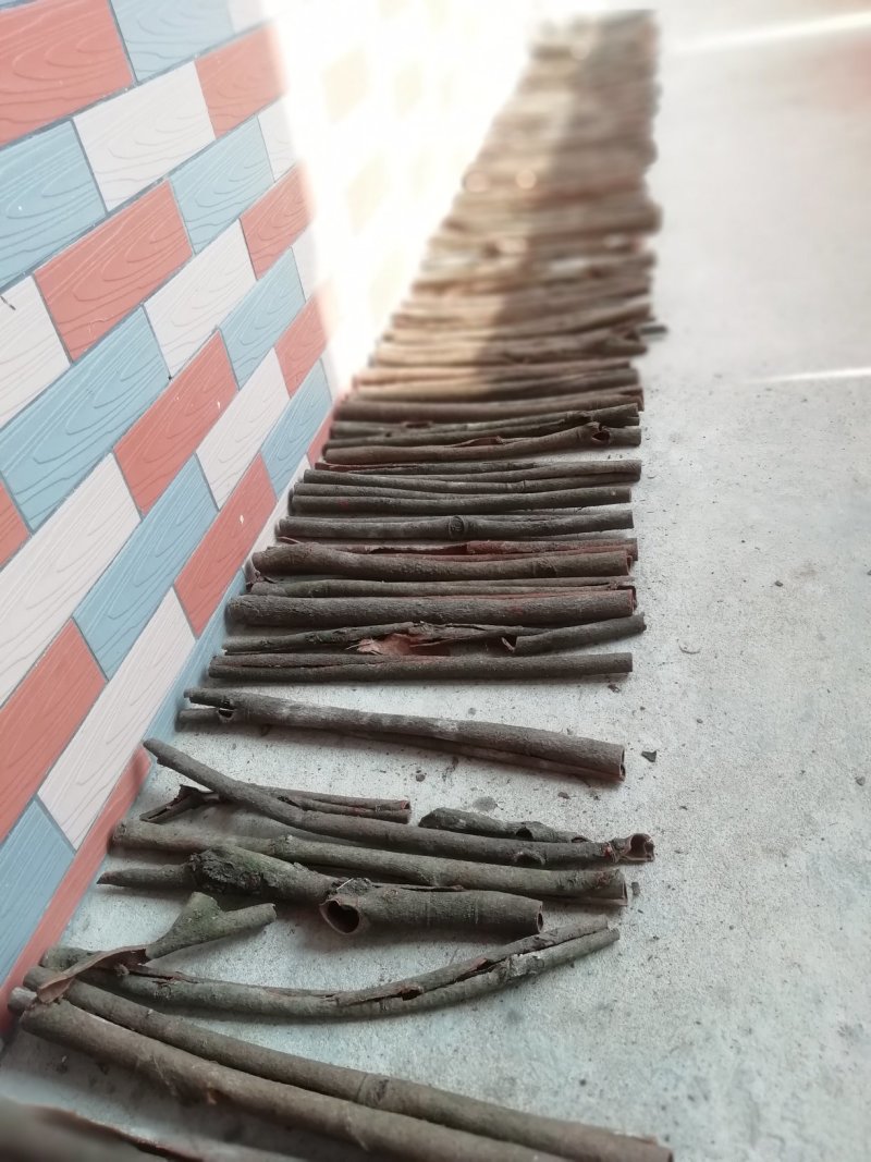 广西肉桂桂皮天然晒干