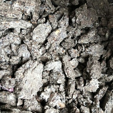 脱壳蓖麻饼大量有货，高质量，低价格