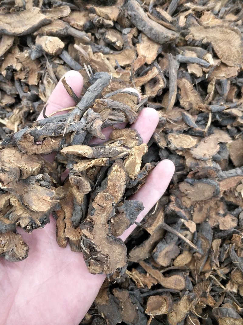 地榆，地榆炭批发各种规格中药材