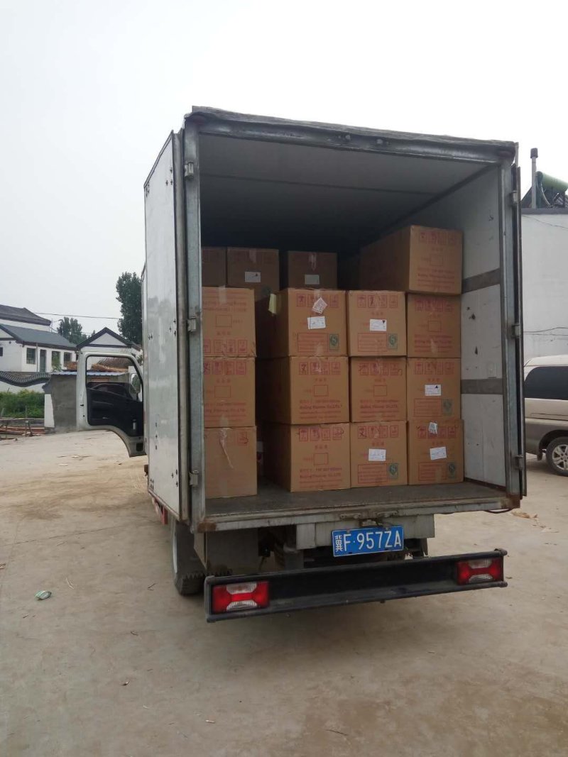 精品盆栽荷花/耐寒深水大型盆栽荷花厂家联系电话