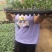 自根西瓜苗，龙卷风，瓜多宝，等西瓜品种，基地专发，抗病毒