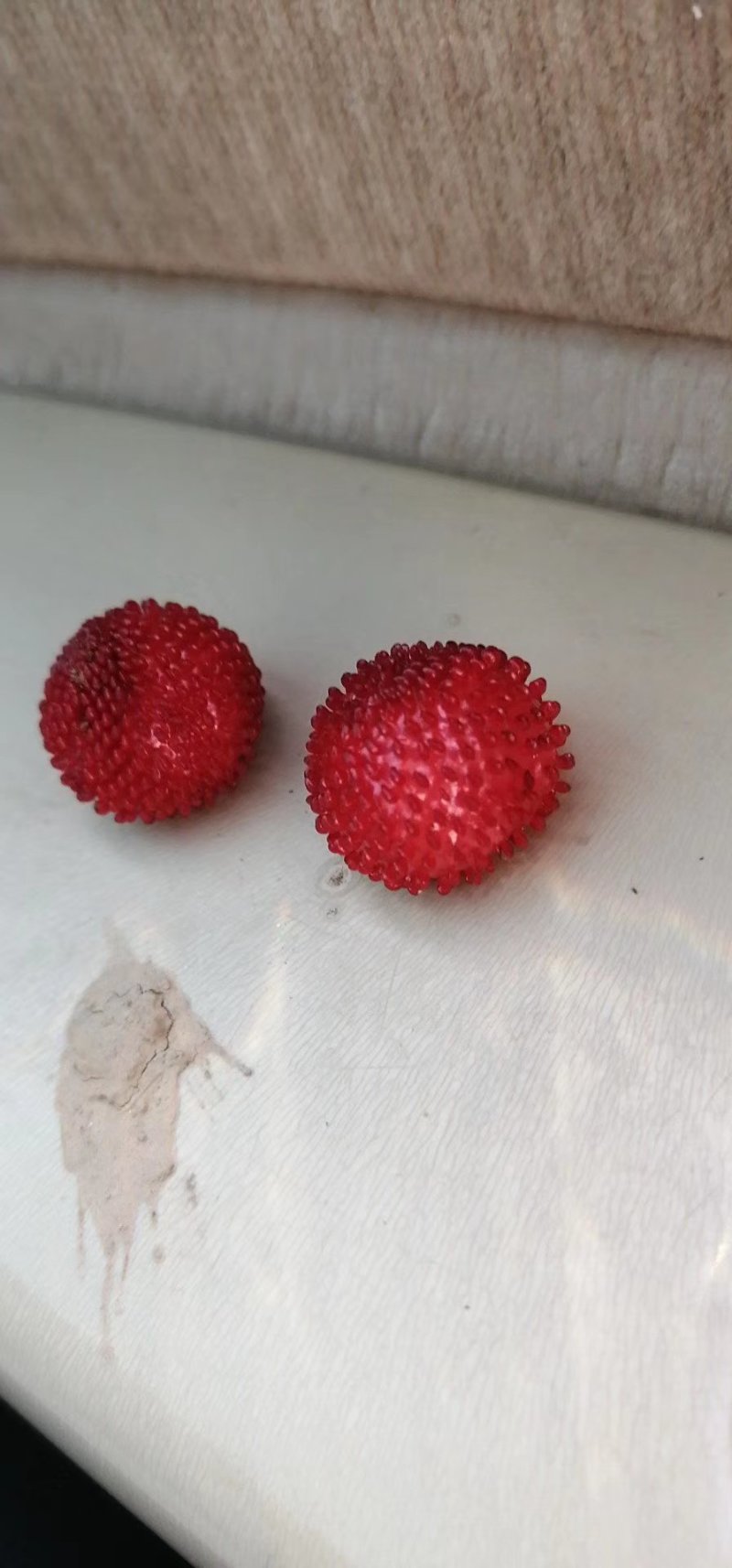 蛇莓种子新货出售质量保证