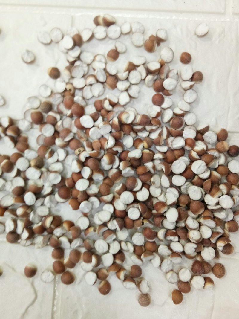 【热卖】芡实米肇庆芡实米新货粒粒饱满50斤起批不包邮