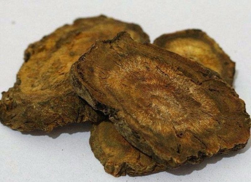 大黄甘肃新货大黄马蹄大黄无硫***干净无杂
