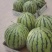 夏邑县大棚8424有籽，无籽西瓜已大量上市，皮薄，甜度高
