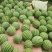 正宗8424西瓜🍉，批发，量大，甜呕，还在犹豫吗！抓紧
