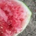 正宗8424西瓜🍉，批发，量大，甜呕，还在犹豫吗！抓紧