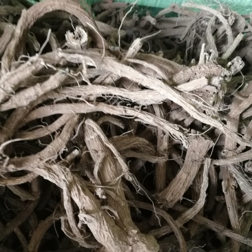 续断大货低价处理