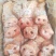 拱嘴，一件10个装，颜色好，卤菜，腌腊必备，20斤一件