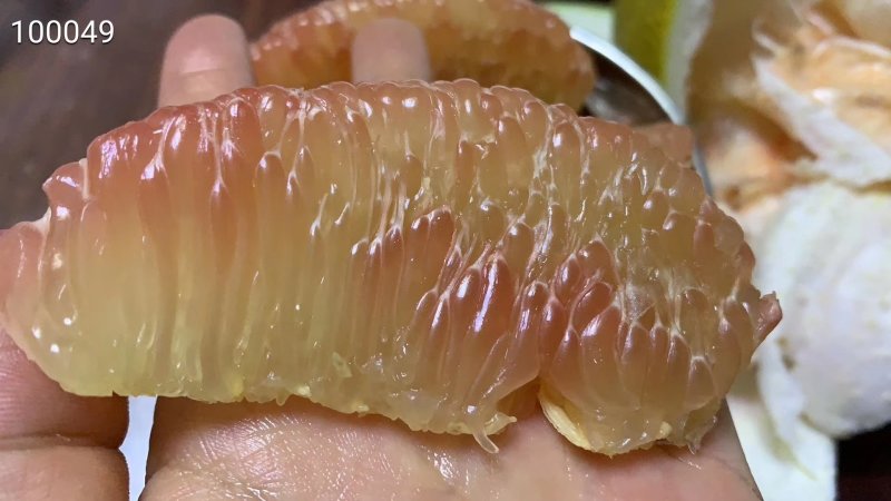 柚子