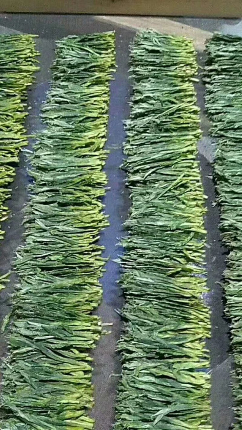 手工制作猴魁
