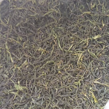 高山野茶
