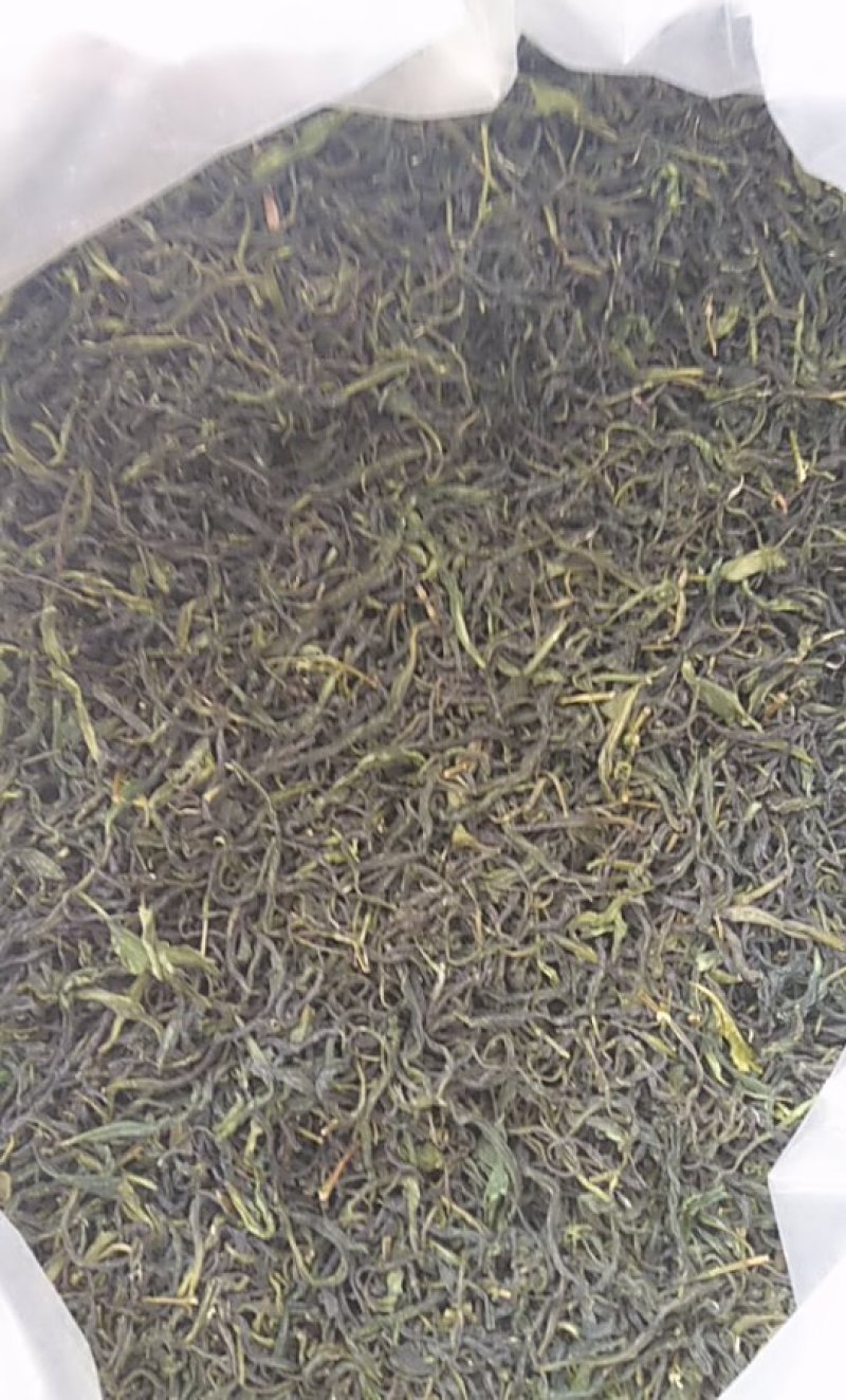 高山野茶