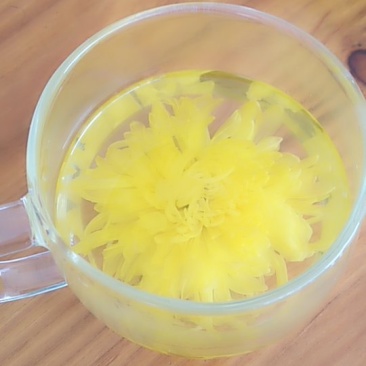 金丝皇菊