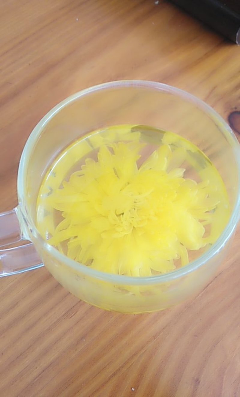 金丝皇菊