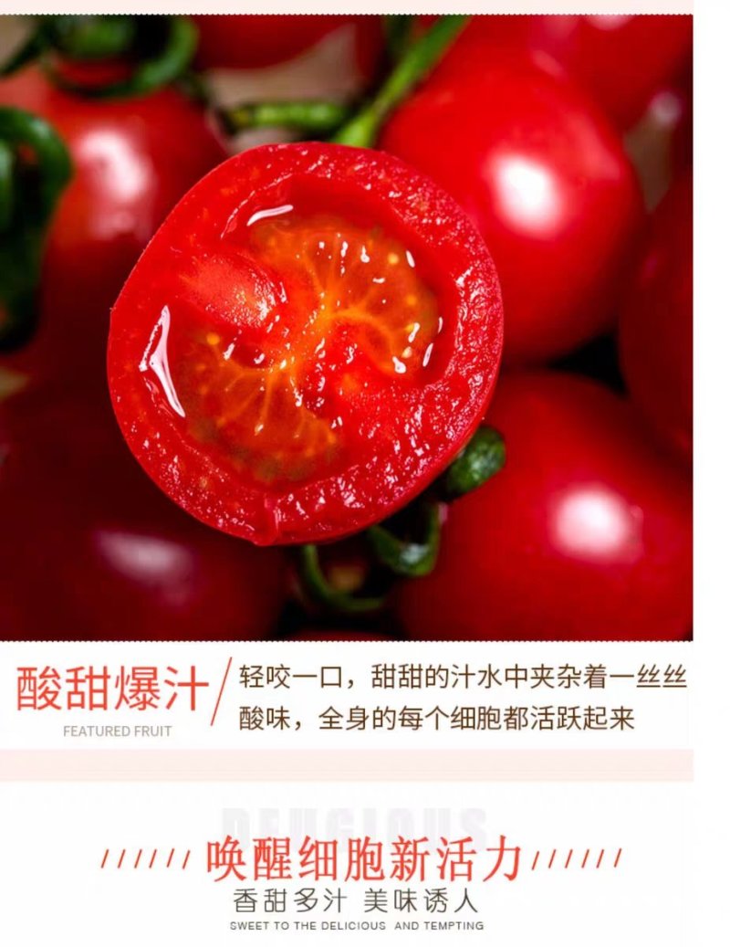 圣女果，支持一件代发，代收……一次合作，终生朋友！