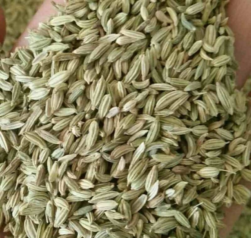 小茴香新货小茴香青茴香干净过筛大货零售批发假一赔十