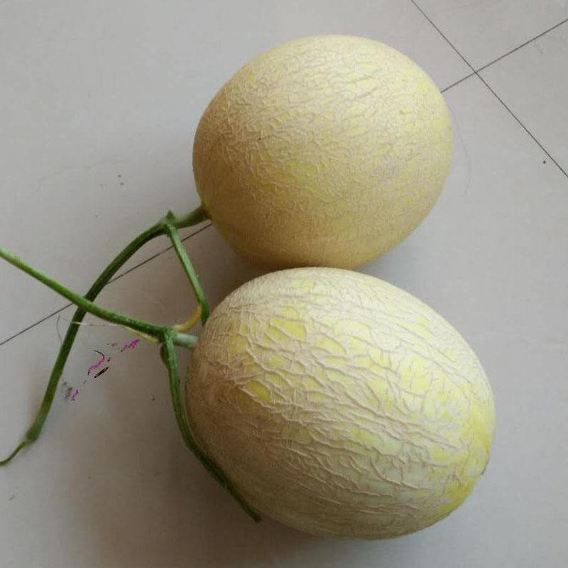 【翼鹏菜业】民勤银蒂蜜瓜，一箱2个装全国包邮，招微商代理