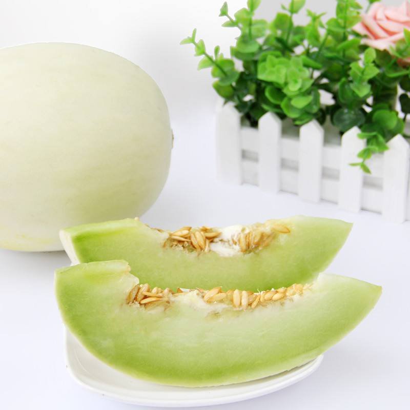 【翼鹏菜业】民勤银蒂蜜瓜，一箱2个装全国包邮，招微商代理