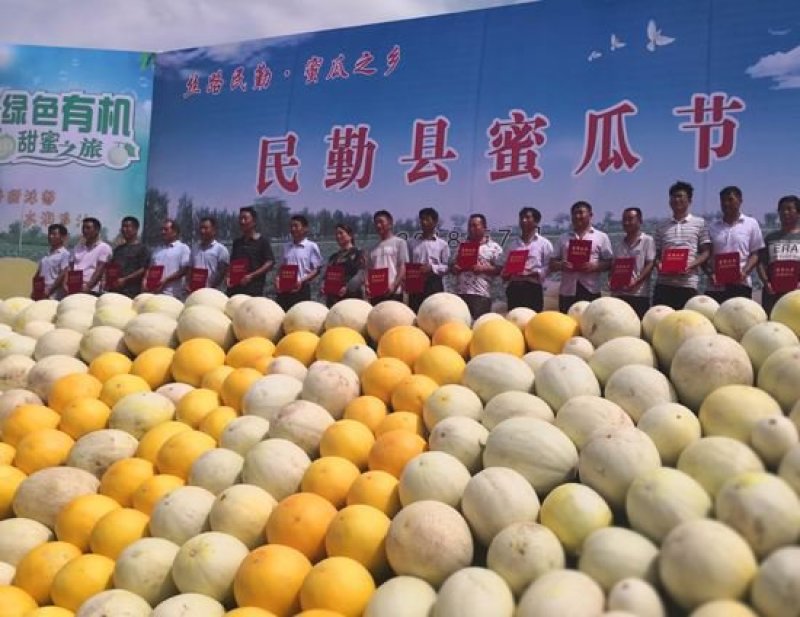 【翼鹏菜业】民勤银蒂蜜瓜，一箱2个装全国包邮，招微商代理