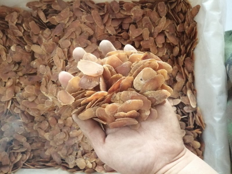 昌玉药材红参寸片产地直销薄利多销