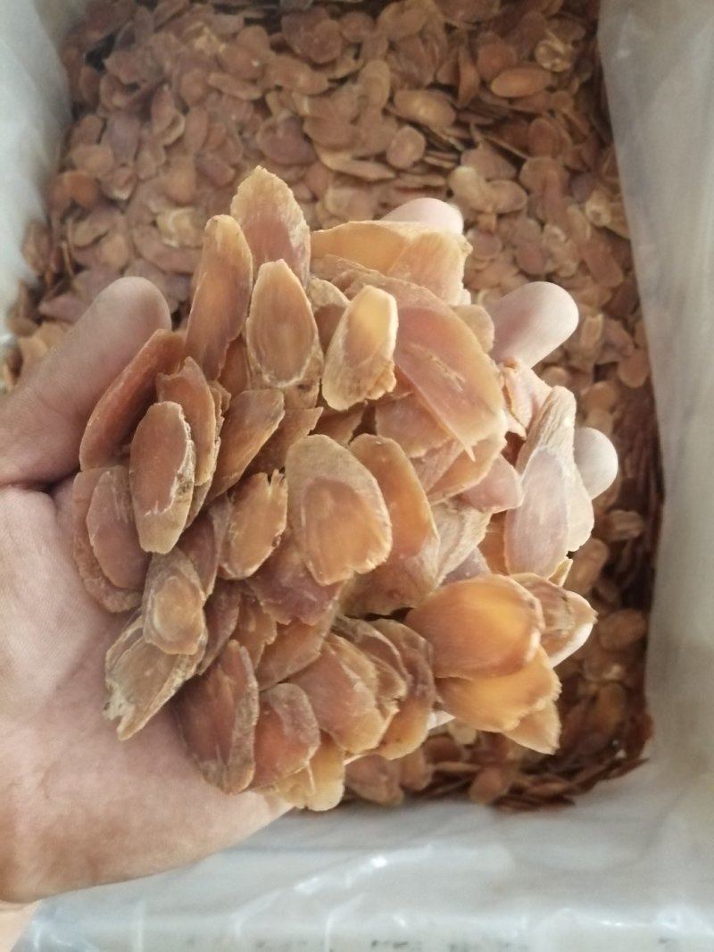 昌玉药材红参寸片产地直销薄利多销
