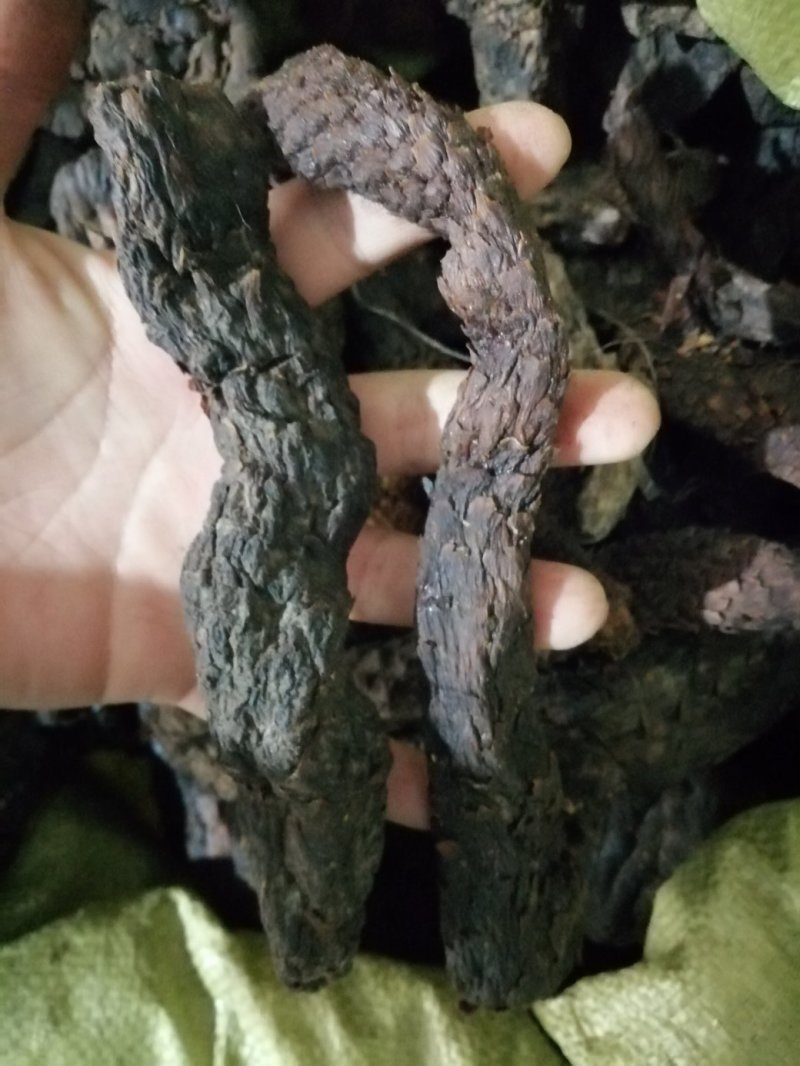 昌玉药材肉苁蓉产地直销薄利多销