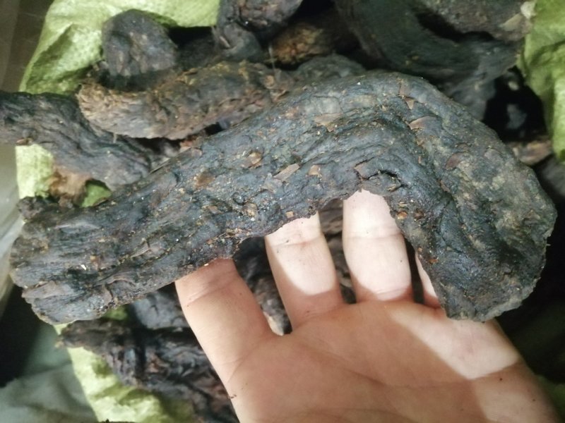 昌玉药材肉苁蓉产地直销薄利多销