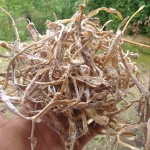 笋干水煮春笋笋干丝陕西秦南100g包邮