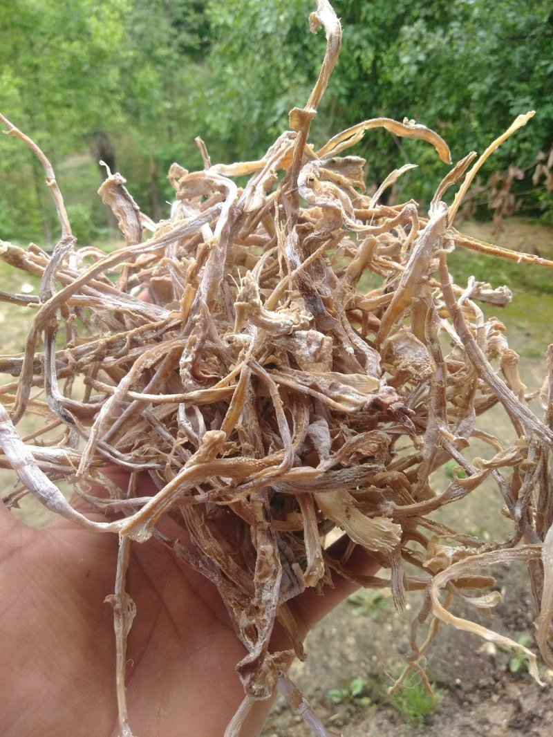 笋干水煮春笋笋干丝陕西秦南100g包邮