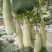 新鲜羊角蜜甜瓜统货1斤以上条直口感甜脆纯绿色食品