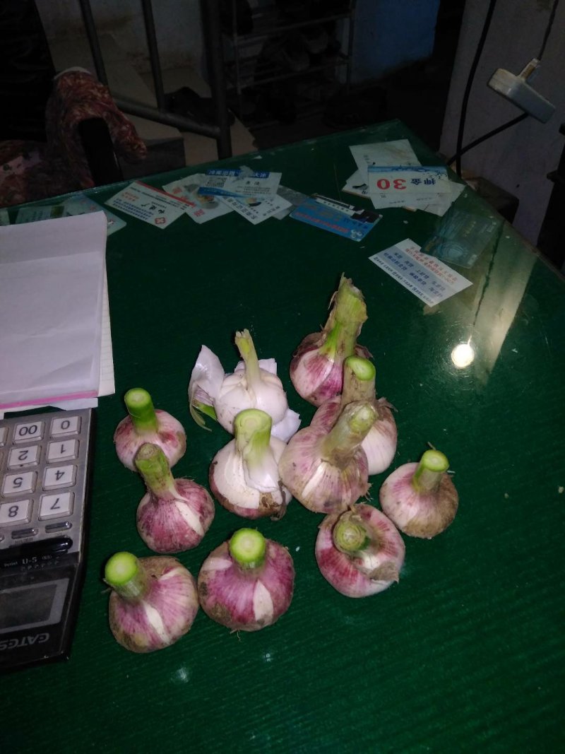 邳州大蒜分级净蒜，原皮统货大量上市欢迎客商来人来电洽谈。
