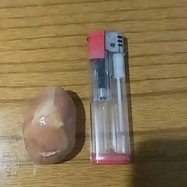 鸡宝出售自家养3年的老母鸡