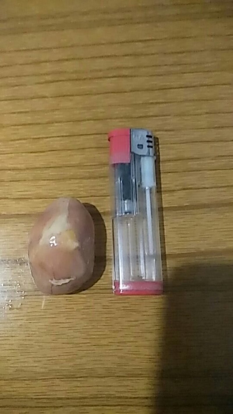 鸡宝出售自家养3年的老母鸡