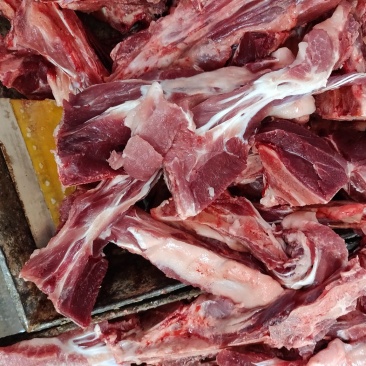 母猪尾骨