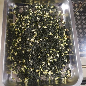 高山茉莉花茶