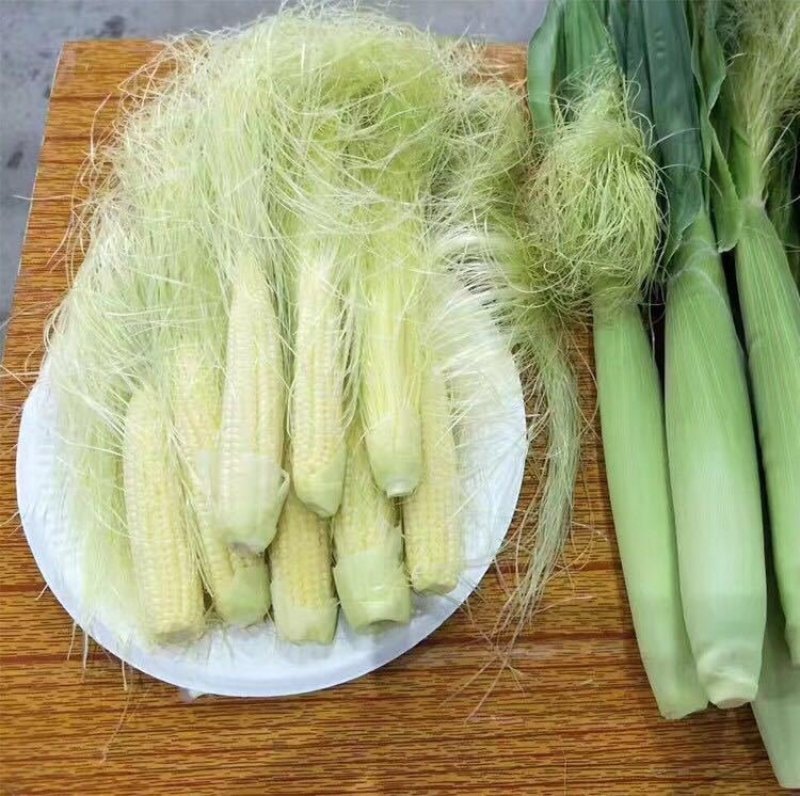 非转基因玉米笋