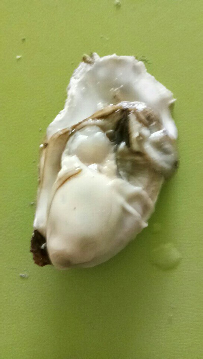 威海牡蛎大量出货价格有变动
