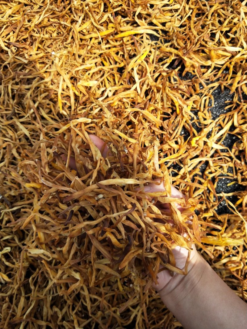 祁东干黄花菜产地货源，量大从优