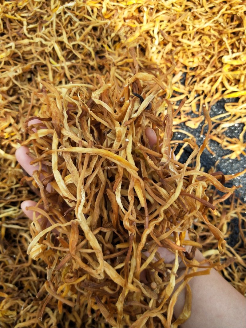 祁东干黄花菜产地货源，量大从优