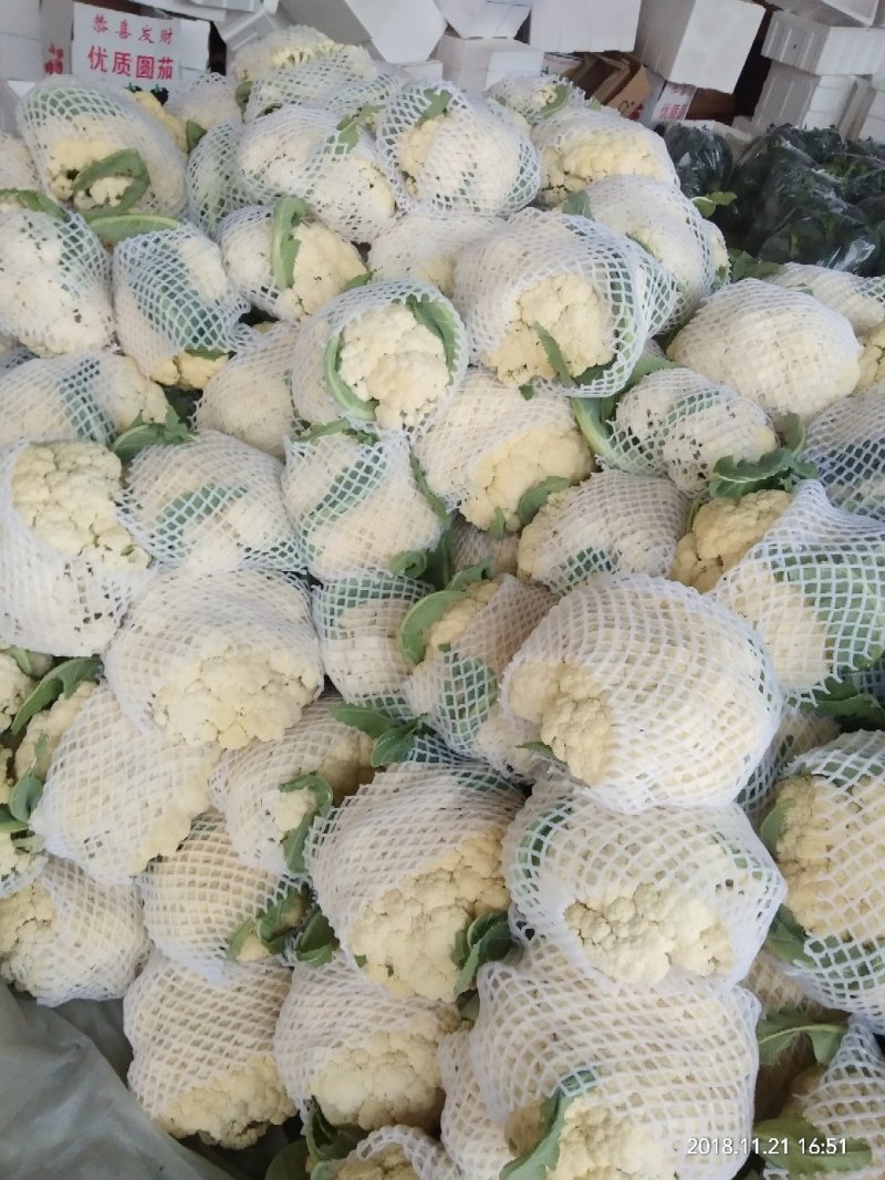 有机花菜，莘县万亩菜花基地，欢迎全国客商实地考察选购。