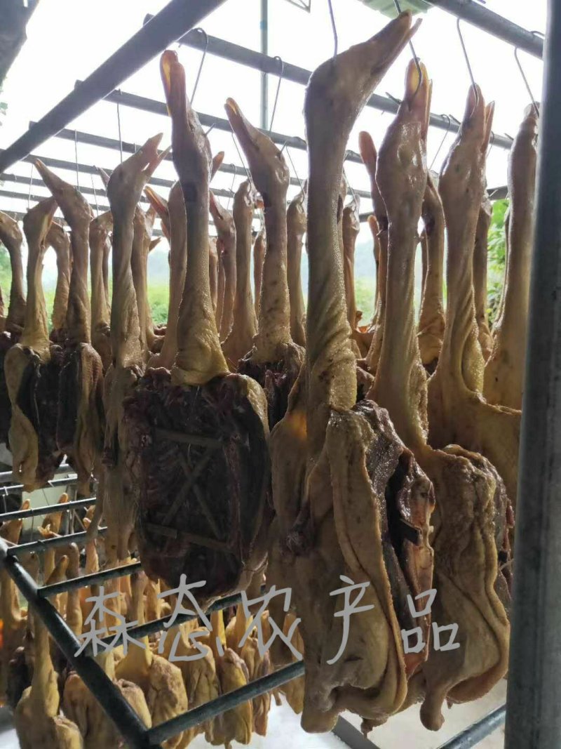 特色风晒鸭一件代发纯手工